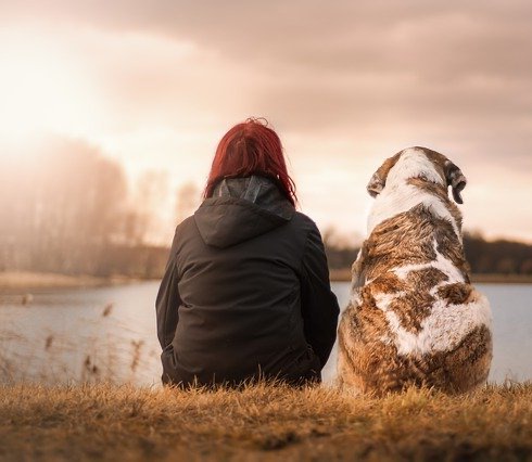 Dog with owner outside